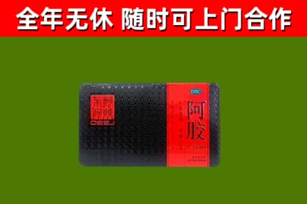 甘孜州回收阿胶